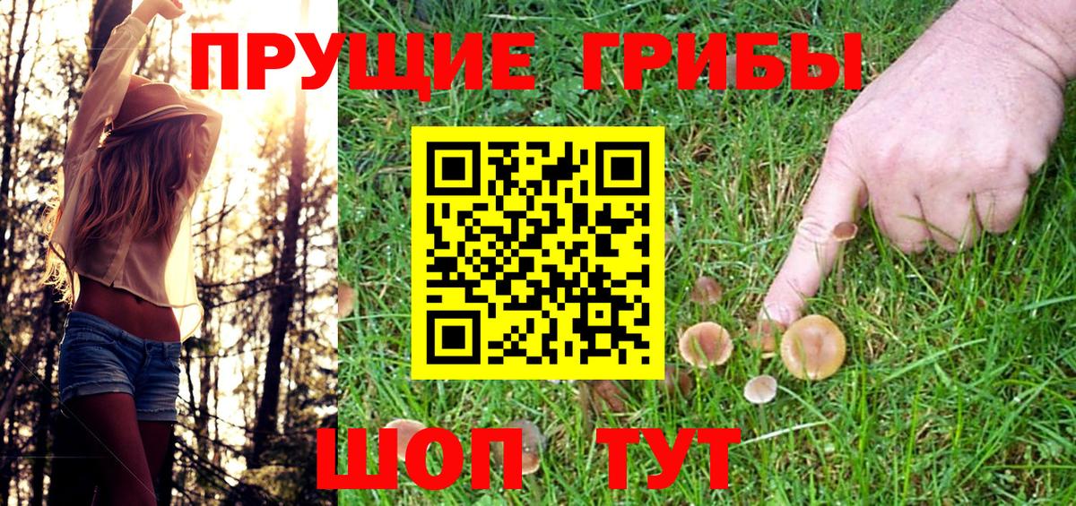 Псилоцибиновые грибы Psilocybine cubensis Назрань